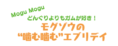 モグゾウの“噛む噛む”エブリデイ